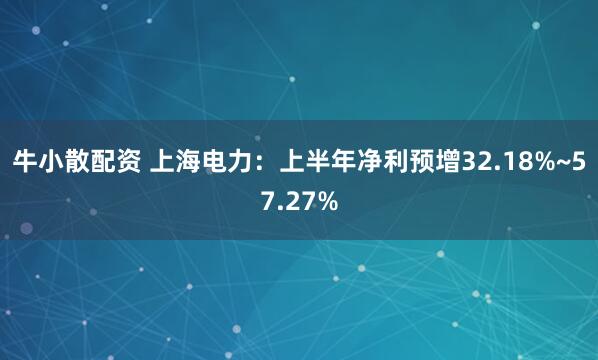 牛小散配资 上海电力：上半年净利预增32.18%~57.27%
