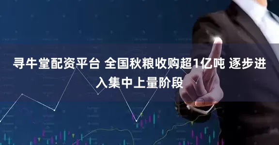 寻牛堂配资平台 全国秋粮收购超1亿吨 逐步进入集中上量阶段